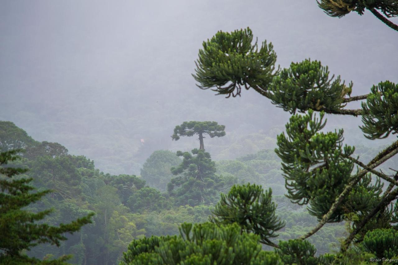 Pousada Ricanto Amore Mio Monte Verde  Dış mekan fotoğraf