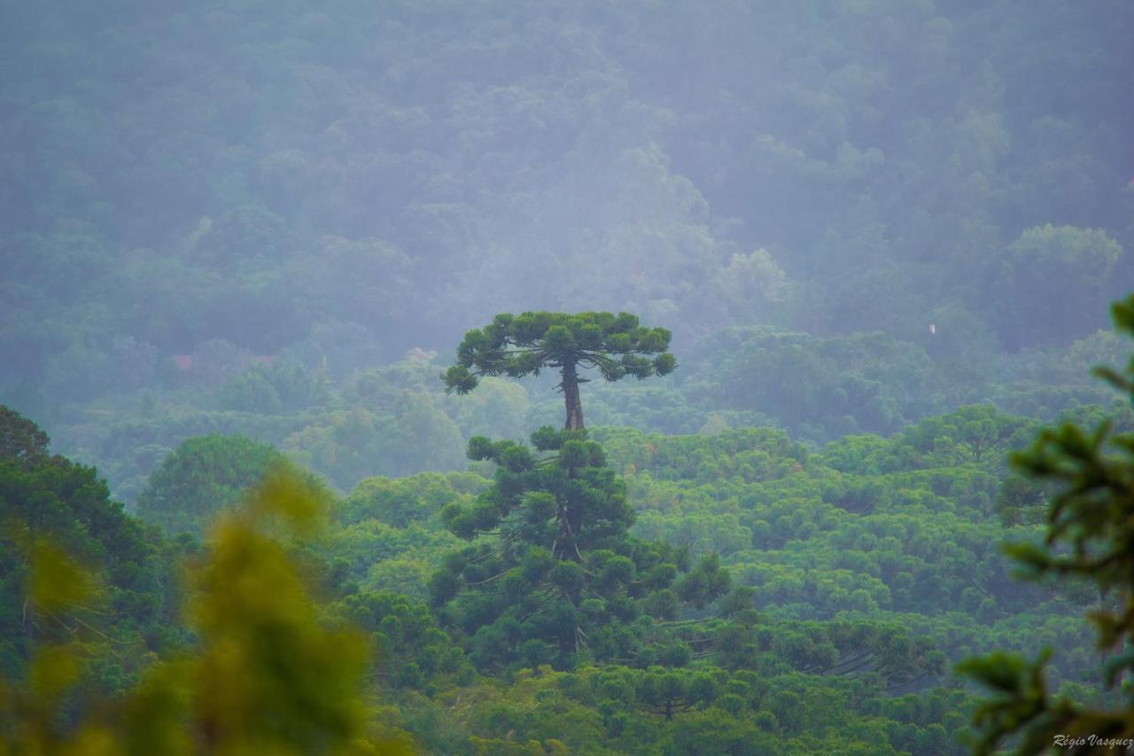 Pousada Ricanto Amore Mio Otel Monte Verde  Dış mekan fotoğraf