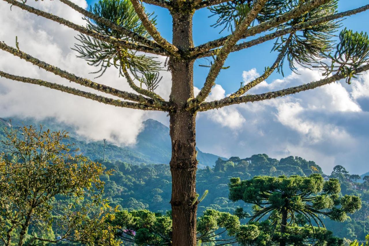 Pousada Ricanto Amore Mio Monte Verde  Dış mekan fotoğraf
