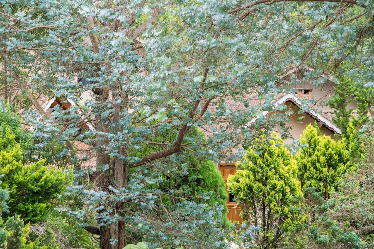 Pousada Ricanto Amore Mio Monte Verde  Dış mekan fotoğraf