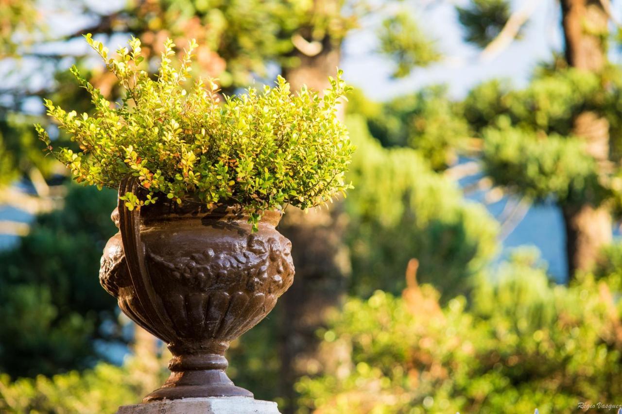 Pousada Ricanto Amore Mio Monte Verde  Dış mekan fotoğraf